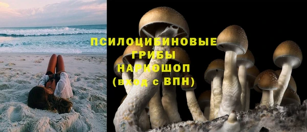 скорость Белокуриха